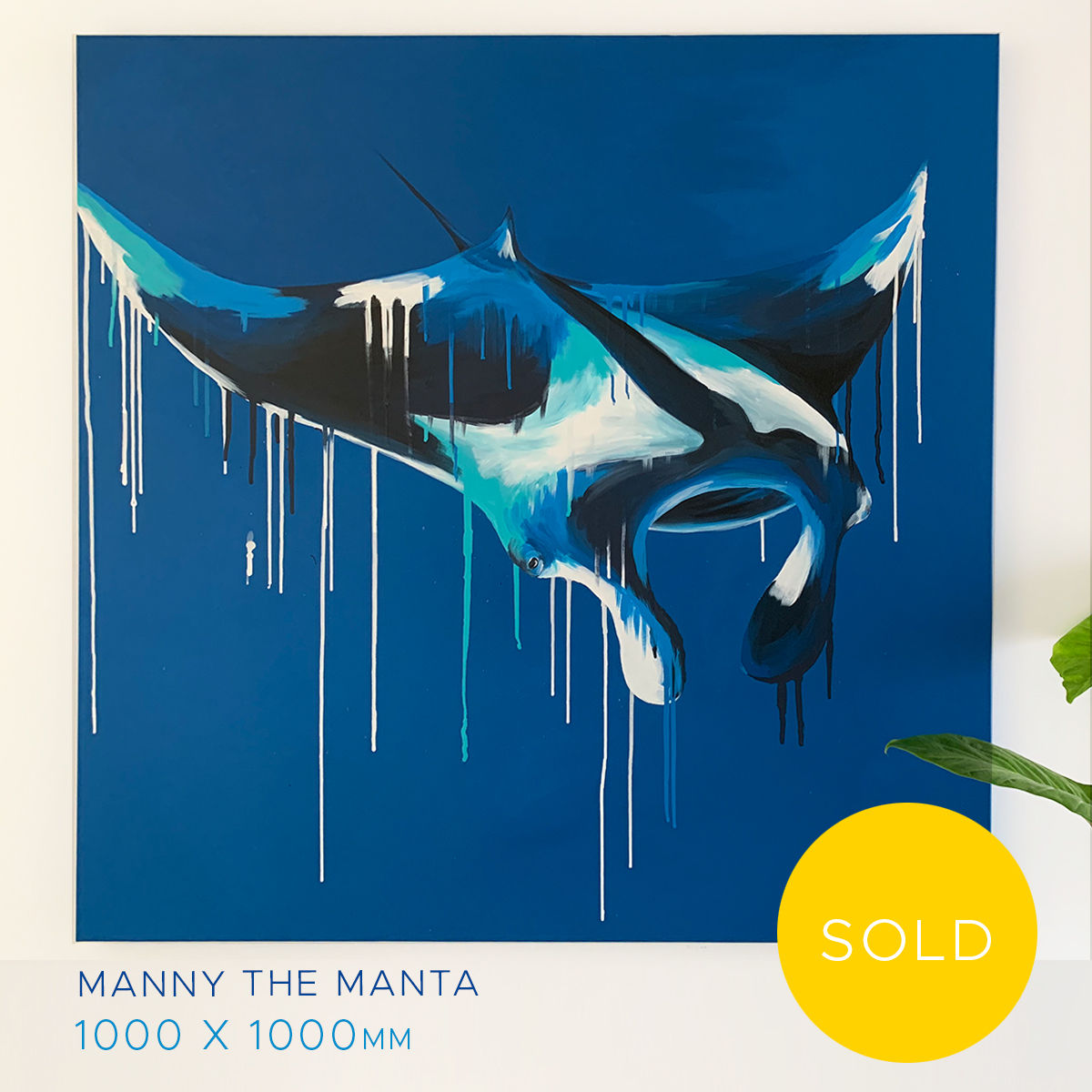 SOLD - Manny the manta