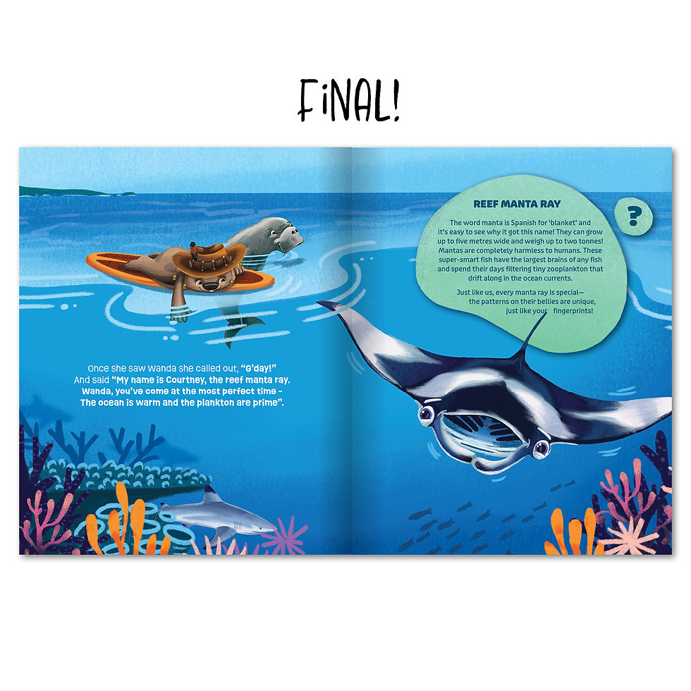 manta final