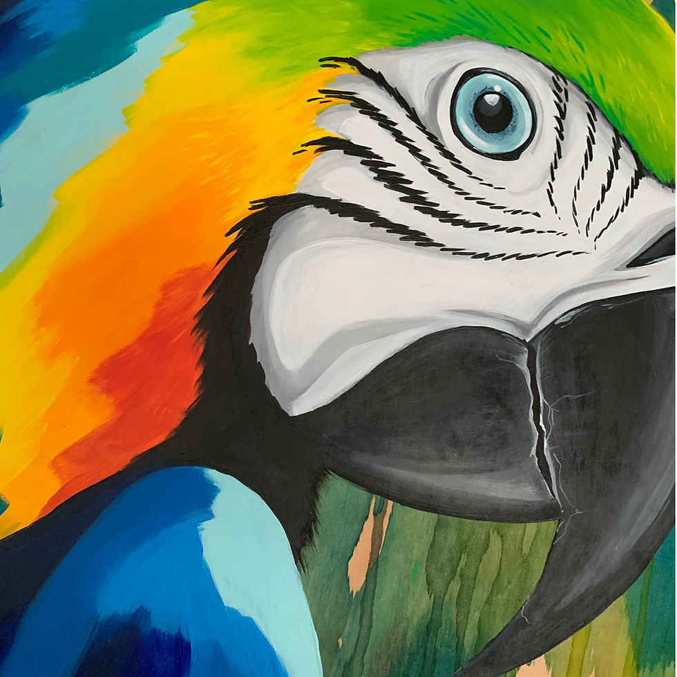 Thumbnail: SOLD - Blue & gold macaw (600mm x 900mm)