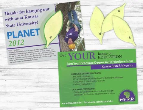 Marketing & Design Portfolio3.jpg