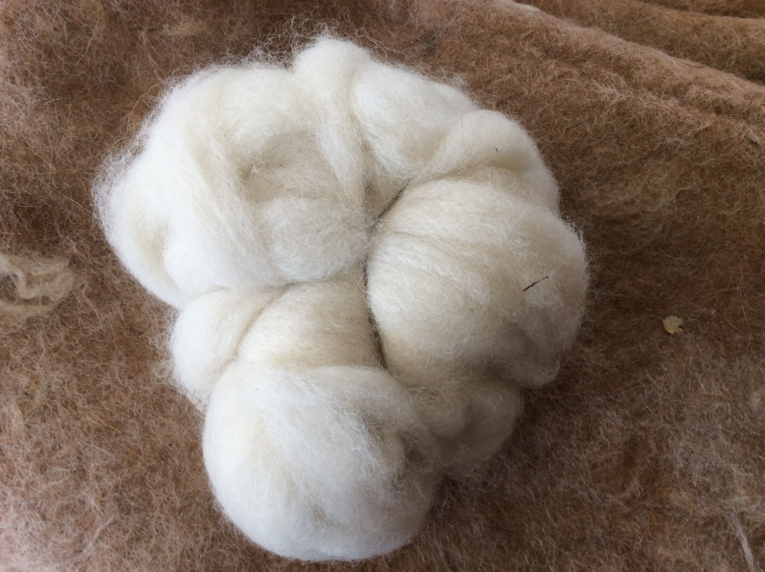 Alpaca Roving / Cream / 2oz