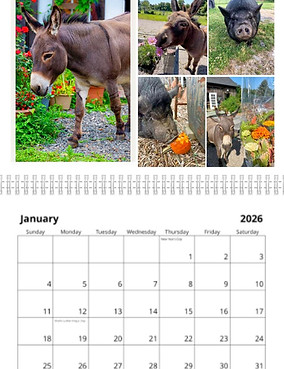 581933795_10241160857866912_2505557011640477868_n (1).jpg