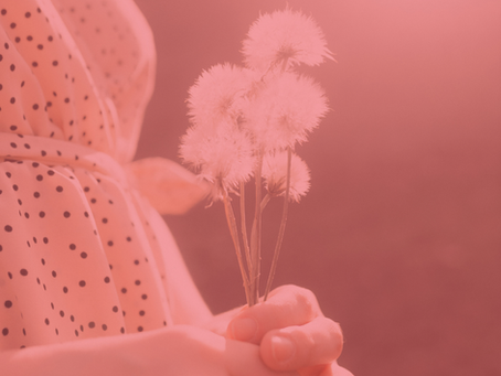 Gratidão: Uma Semente de Esperança.