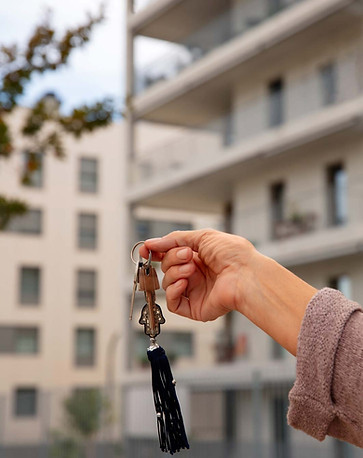 immobilier.jpg