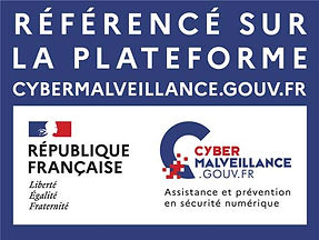 cybermalveillance-serentys.jpg
