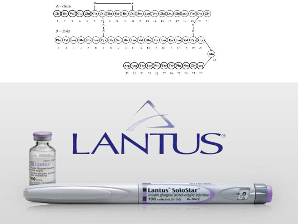 Diabetes Mellitus Part 2 Insulin Therapy