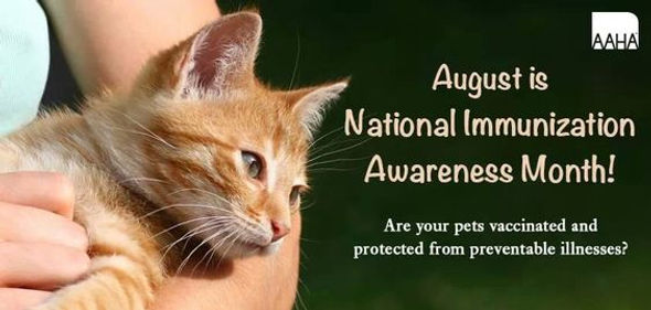 National Immunization Awareness Month