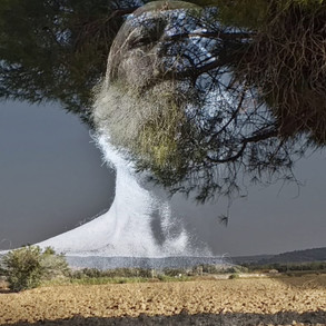 Io sono Maremma - Michelangelo Bonitatibus 3