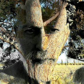 Io sono Maremma - Michelangelo Bonitatibus 7