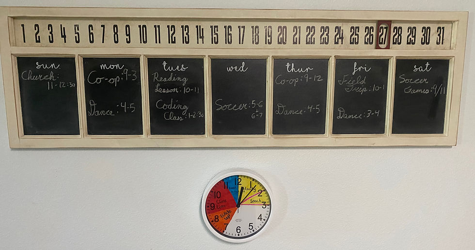 Our weekly schedule gets updated every Sunday so that everyone in the family knows the big events of the week! This helps us visualize our week and also helps to plan our homeschool lessons appropriately.