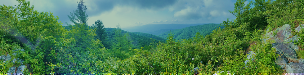 Landscape with filter.png