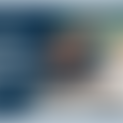 nonprofit executive search