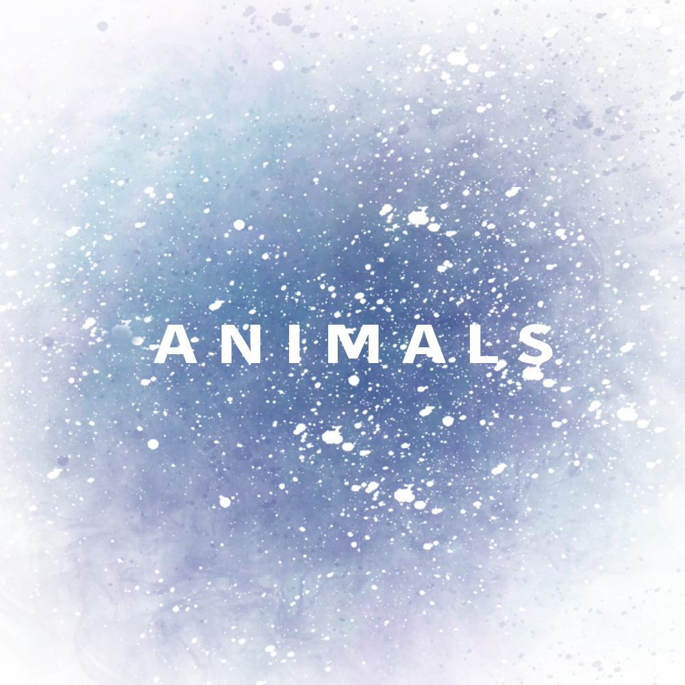 Custom Animal Lettering
