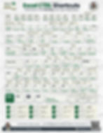 Excel CTRL cheat sheet