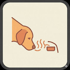 Hampshire Canine Conditioning