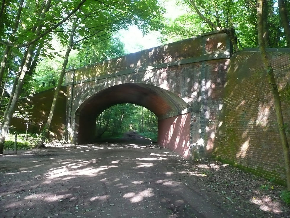 Brick bridge over a shaded forest path surrounded by green trees. Sunlight filters through leaves, creating dappled patterns on the ground.