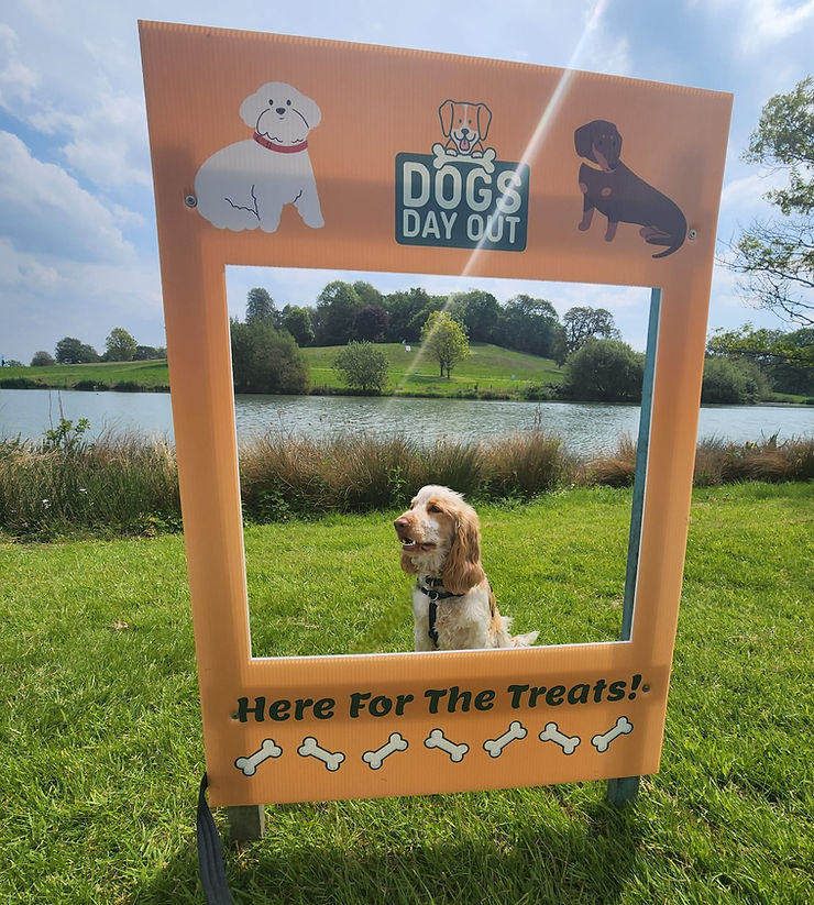 Dog posing in a "Dogs Day Out" frame by a lake, surrounded by greenery. Sign reads "Here For The Treats!" with bone designs.