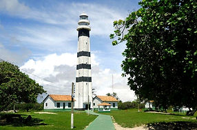 Caburé Peninsula/Brooms and mandacaru