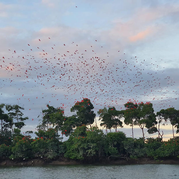 WhatsApp Image 2025-09-24 at 21.24.41.jpeg