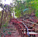 Escaleras Chipinque
