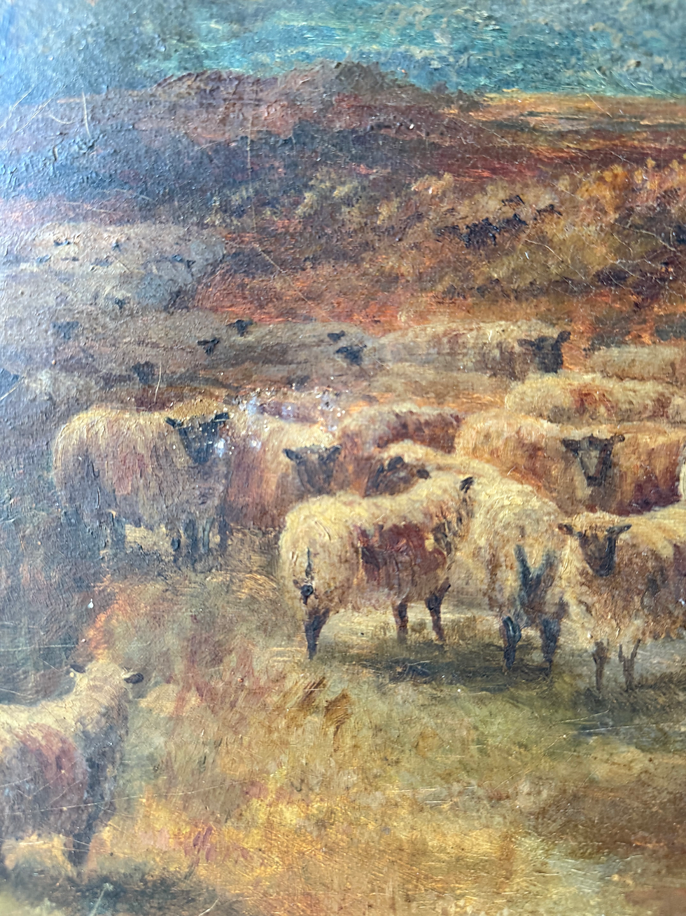 Thumbnail: Sheep on the Heath