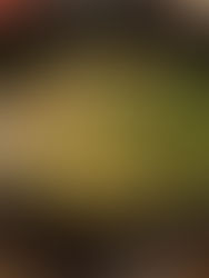 White Bean Chicken Chili