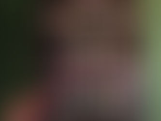 Book Review: The Dreamers