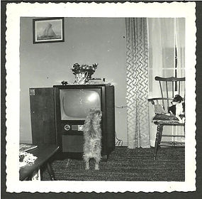 Poltergeist photo with dog walking into screen, other dog watches in the wings, Circa 1955-60.