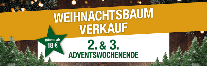 MAR_Weihnachtsbaumverkauf_2025_Slider.png