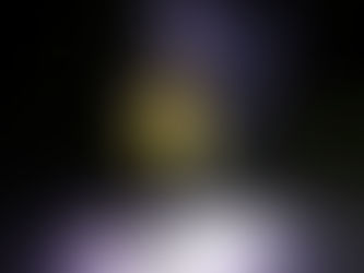 Unser tänzerisches Angebot