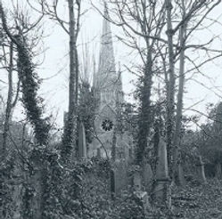 IMG_7937.jpeg