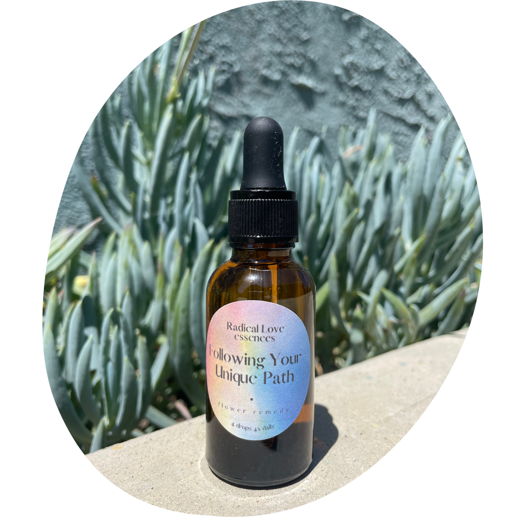 Following Your Unique Path