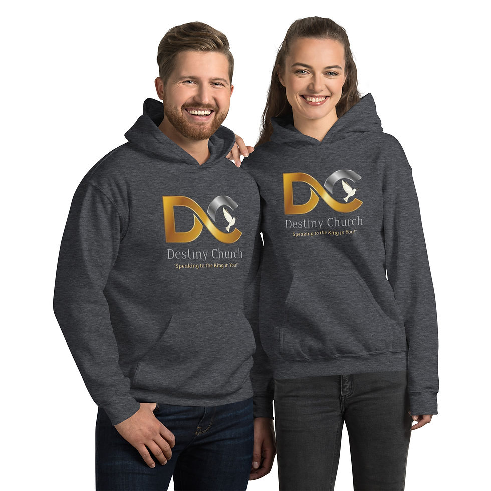 Thumbnail: DESTINY UNISEX HOODIE