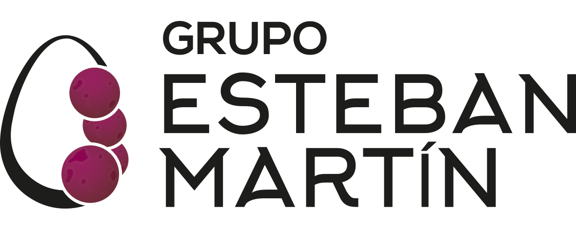 Logo-Grupo-Esteban-Martín