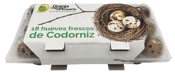 18-huevos-de-codorniz