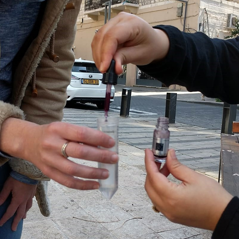 סיטי קווסט חיפה