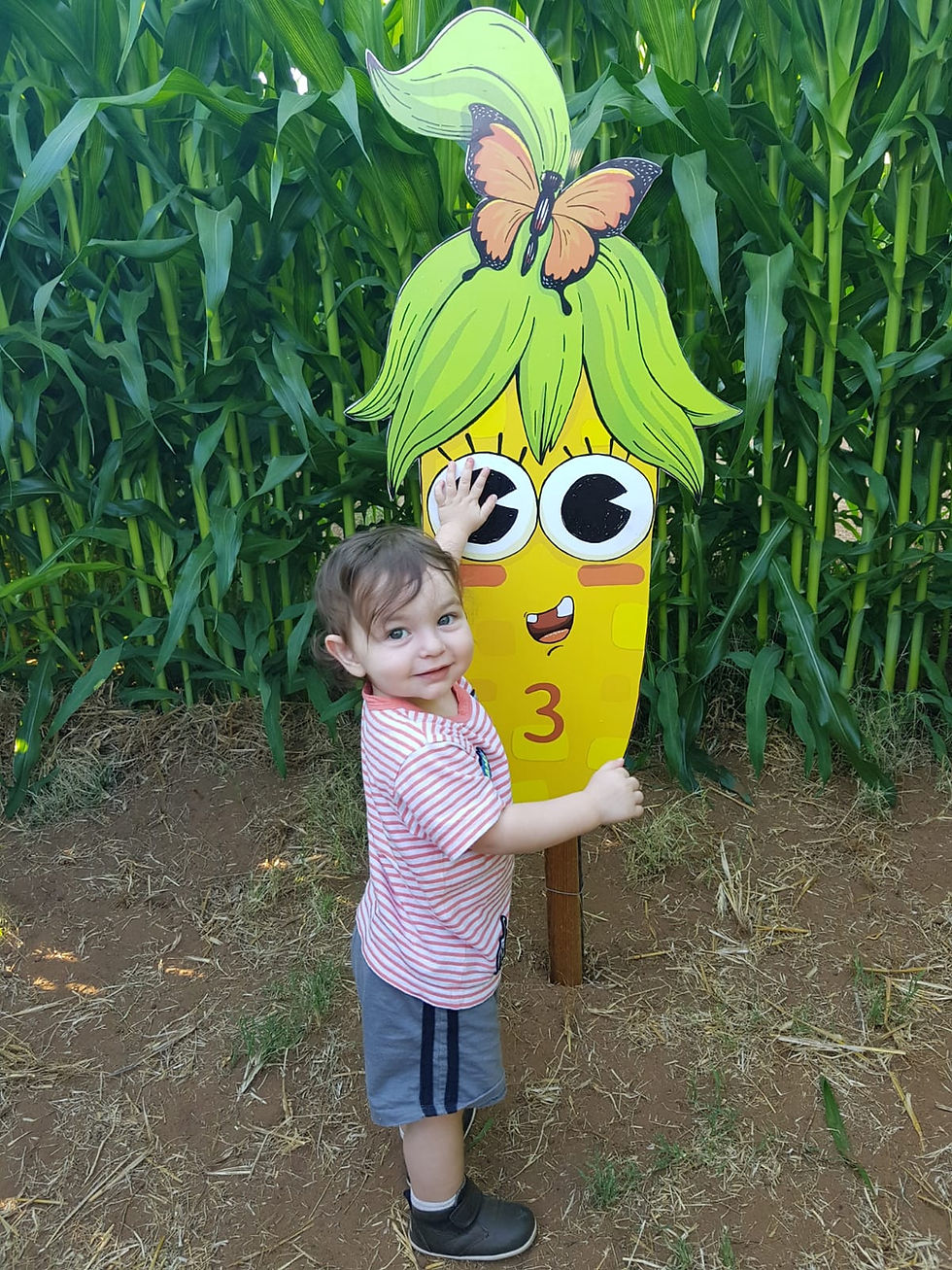 מבוך תירס בהוד השרון play with lilach