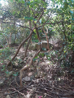 KakaoTalk_20230920_103740892_01