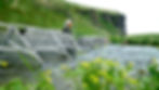DSCF6377.JPG