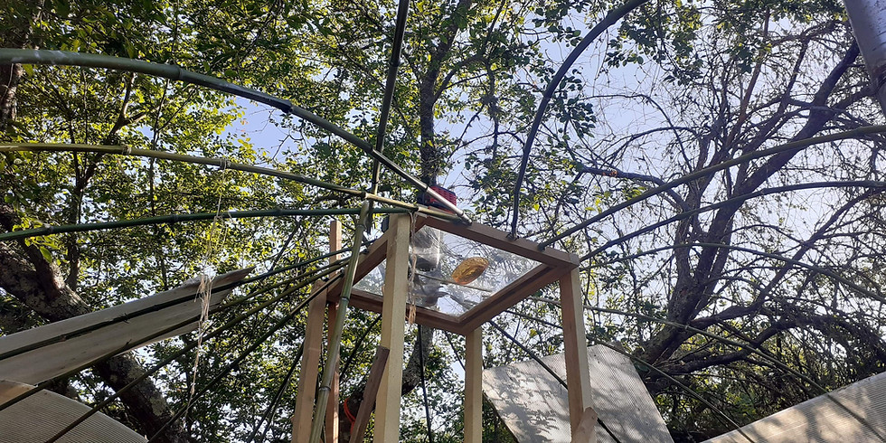 Construction d'un dôme en chanvre chaux à Forcalquier