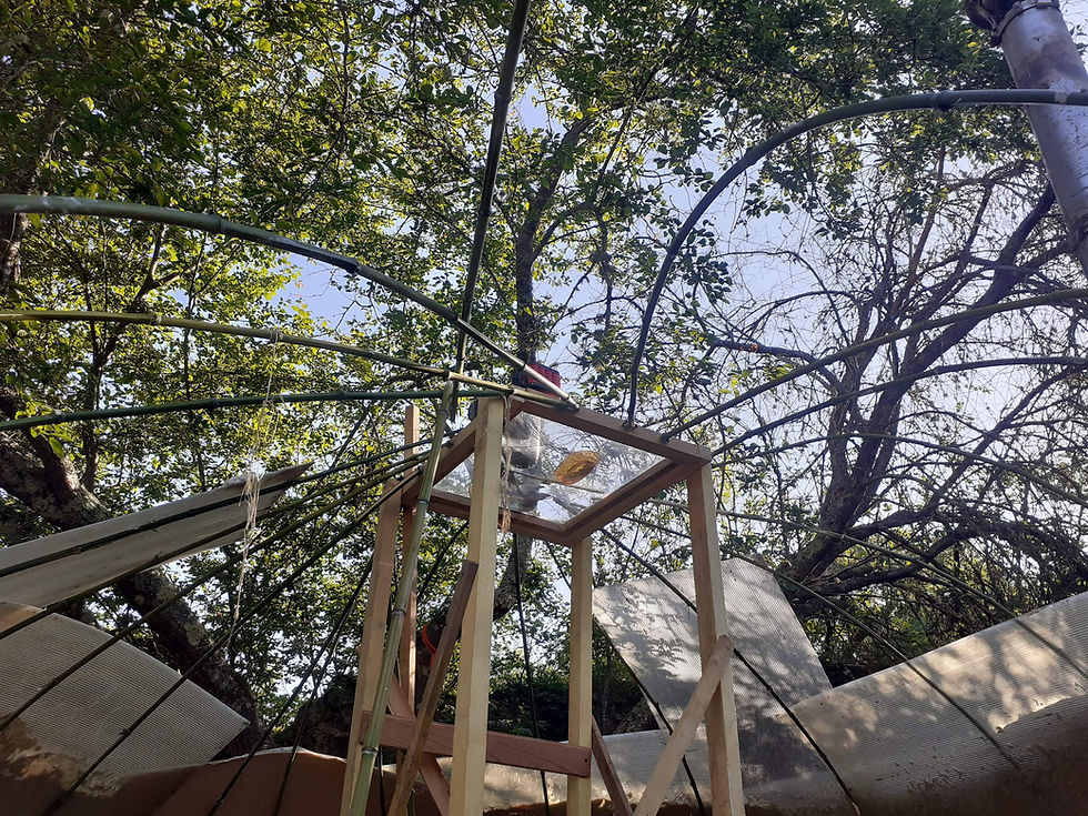 Stage Espriterre, énergie dans la matière