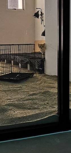 Fillis Margarita Margarita