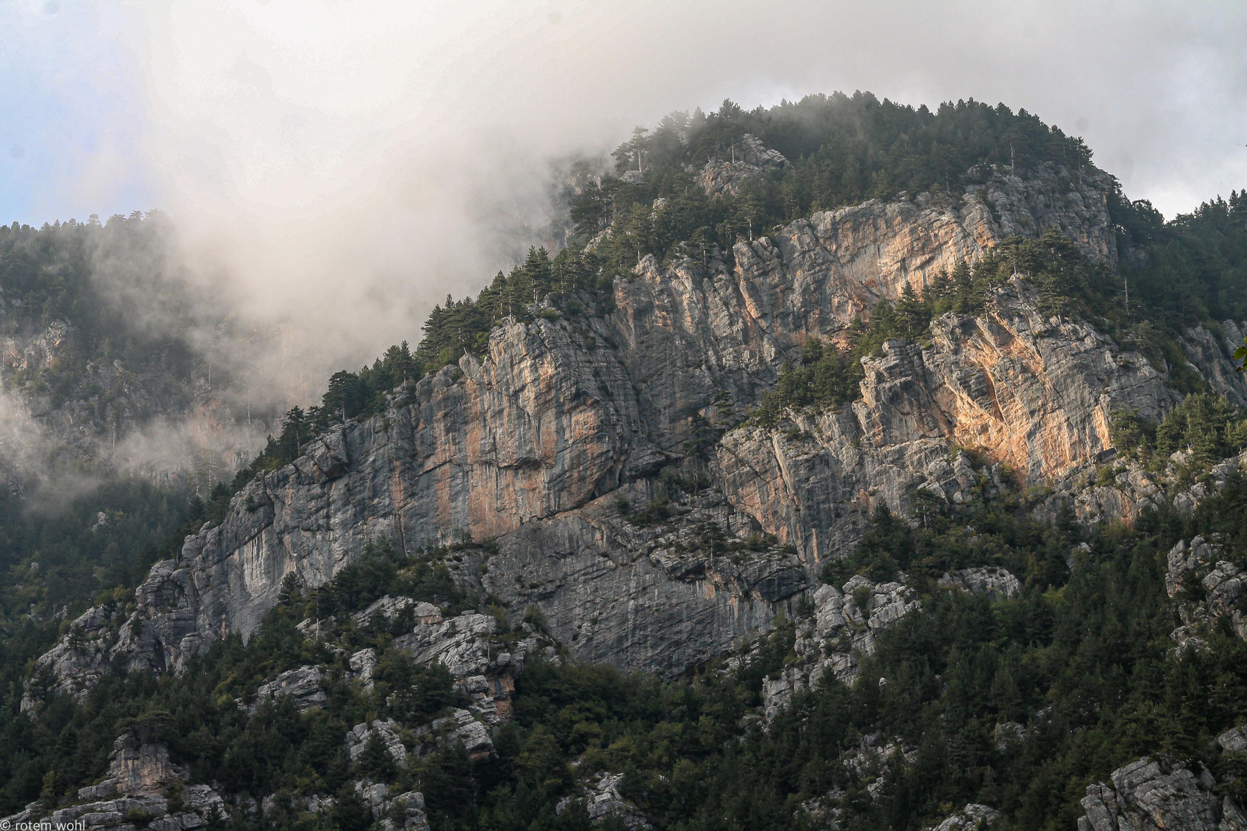 Morning mist on the Mountain ״ערפילי בוקר על ההר״