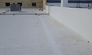 20160318_085204.jpg