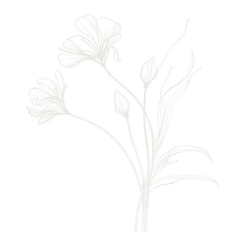 Untitled design (1).png