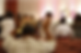 praise photo.png