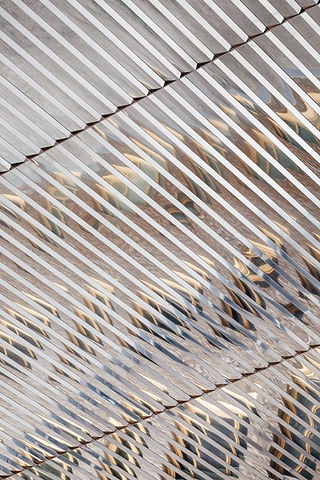 Abstract Photography