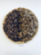 1LB Teff Injera Derekosh