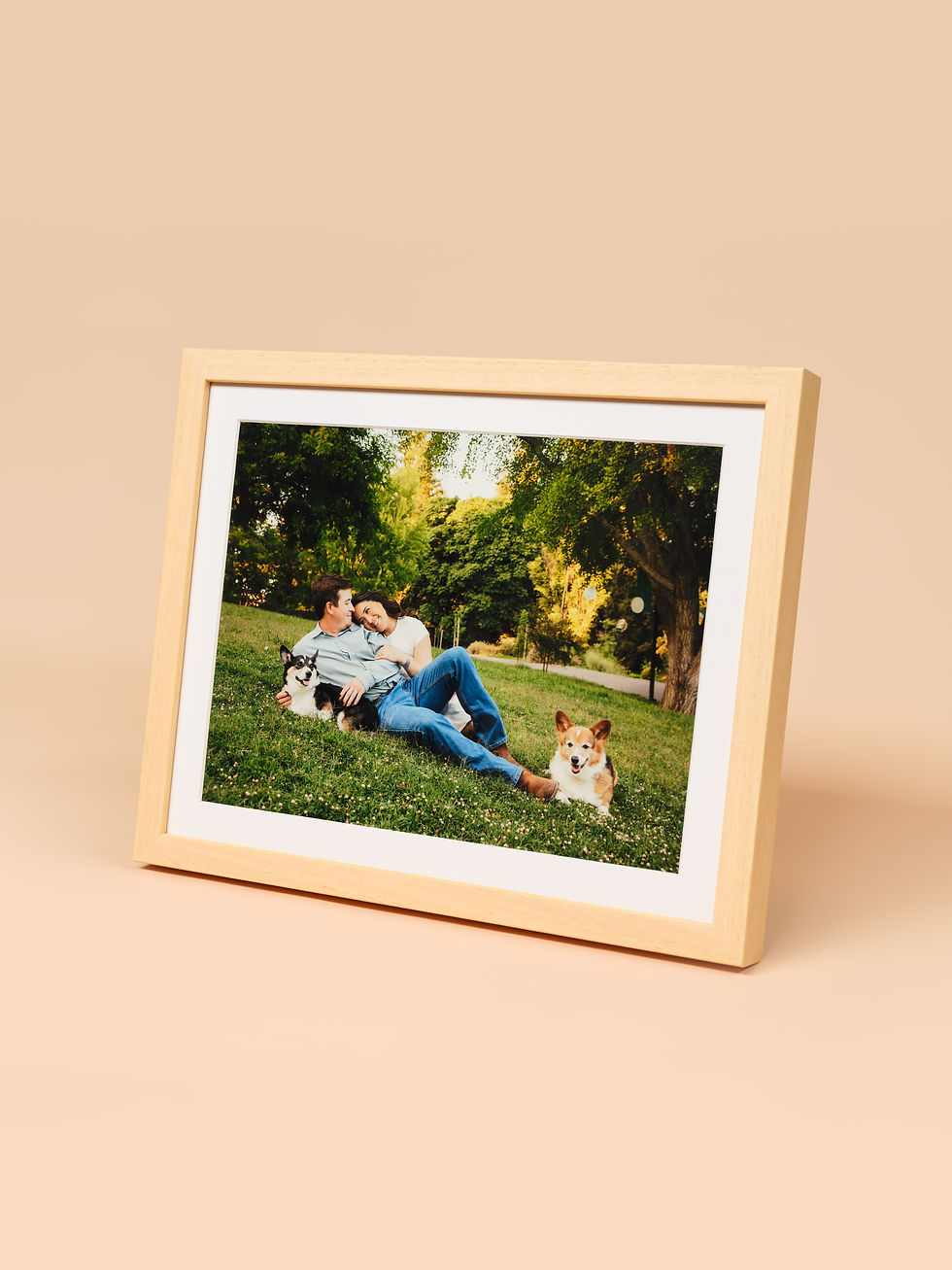 Framed Print of a smiling couple cuddling on grass with two dogs in a sunny park, surrounded by green trees