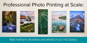 Professional Photo Printing at Scale: Matt Hofman's Workflow and What's in our HQ Gallery